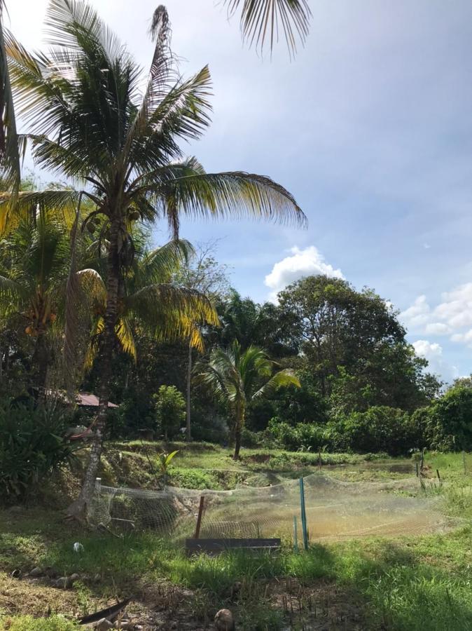 Homestay Bendang Hilir Kuala Nerang Ngoại thất bức ảnh